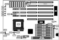 SILICON STAR INTERNATIONAL, INC.   AN4