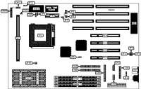 ACER, INC.   AP5C/P