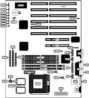 DIAMOND FLOWER, INC.   586ITOX (REV. B+)