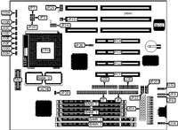 DIAMOND FLOWER, INC.   586ITB (REV. A+)