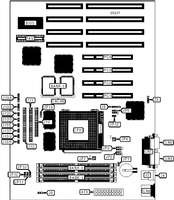 DIAMOND FLOWER, INC.   586IVX (REV. 2+)