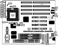 DIAMOND FLOWER, INC.   P5BVP (REV. A+)