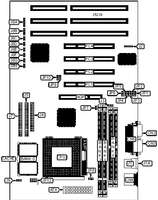 DIAMOND FLOWER, INC.   P5XV3 (REV. A+)