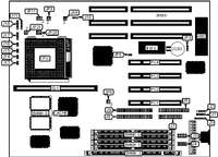 DIAMOND FLOWER, INC.   586VXD (REV. CH1+)