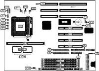 DIAMOND FLOWER, INC.   G586IPV F (REV. A+ VER. 2.00)