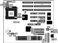 DATAEXPERT CORPORATION   MVP7598