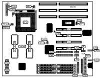 EVEREX SYSTEMS, INC.   STEP PREMIER