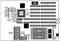 LION COMPUTERS, INC.   LOCAL ISA 486 USA