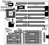 SEE-THRU DATA SYSTEMS, LTD.   STO98C