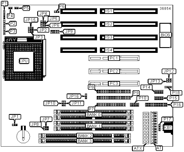 RHINO 15